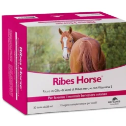 Ribes Horse