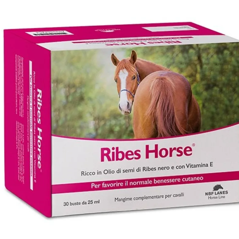 Ribes Horse