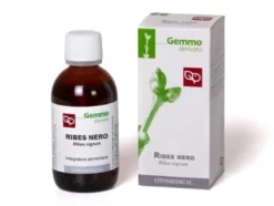 Ribes ne 200ml mg