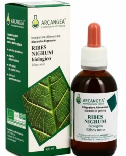 Ribes nigrum gd 33 bio 100ml