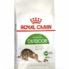 Royal Canin Active Life Outdoor Alimento Secco Per Gatti Adulti 400g