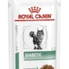 Royal Canin Diabetic Straccetti In Salsa Per Gatti 12x85g