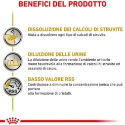 Royal Canin Diet Urinary Cane Umido 410g