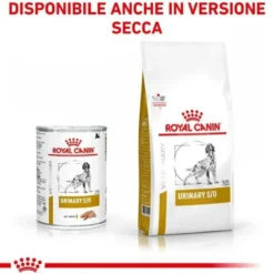Royal Canin Diet Urinary Cane Umido 410g