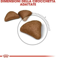 Royal Canine Intense Hairball Mangime Secco Gatti 400g