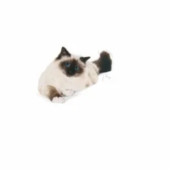 Royal Canine Intense Hairball Mangime Secco Gatti 400g