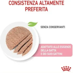Royal Canin Mother & Babycat Instinctive Ultra Soft Mousse 195g