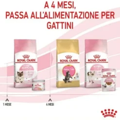 Royal Canin Mother & Babycat Instinctive Ultra Soft Mousse 195g