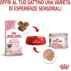 Royal Canin Mother & Babycat Instinctive Ultra Soft Mousse 195g