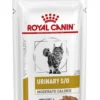 Royal Canin Urinary S/o Moderate Calorie Straccetti In Salsa Gatto 12x85g