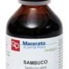 Sambuco tintura madre bio 100 ml
