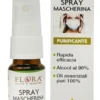 Spray mascherina 10 ml