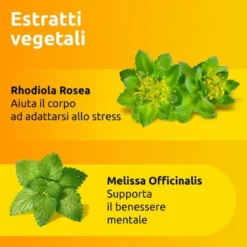 Supradyn ricarica no stress integratore vitamine e magnesio contro la stanchezza da stress 20 buste