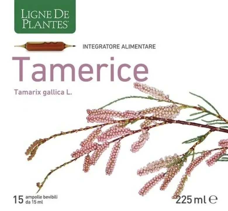 Tamerice 15 ampolle 15 ml