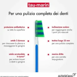 Tau-Marin Spazzolino Scalare 33 setole medie