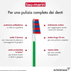Tau-Marin Spazzolino Scalare 33 setole dure