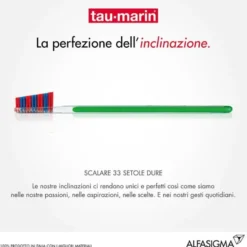 Tau-Marin Spazzolino Scalare 33 setole dure