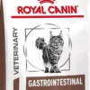Veterinary