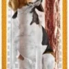 Vitakraft Beef-stick Low Fat 12 g