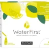 Water first limone-menta-fiori di sambuco 12 stick pack